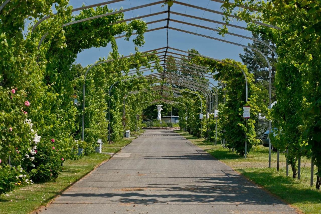 Knaus Campingpark Bad Dürkheim Εξωτερικό φωτογραφία